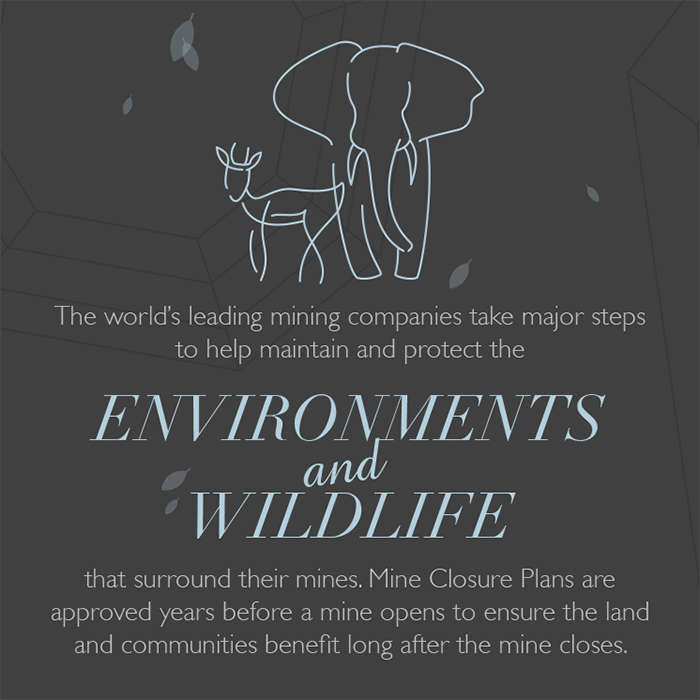 diamond infographic